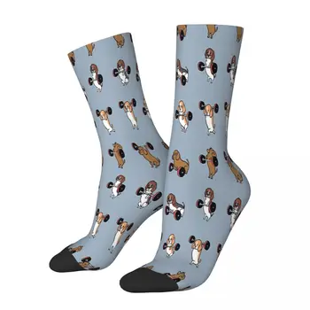 Beagles Zvierat ZDVÍHACIE Ponožky Muž Mens Ženy Lete Pančuchy Polyester